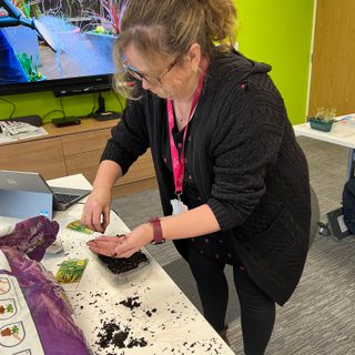 Alternative text should describe the visual content of the image.