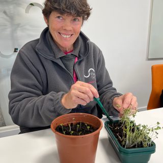 Alternative text should describe the visual content of the image.