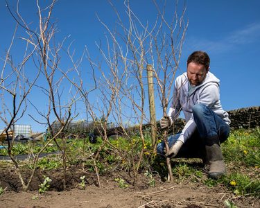 Alternative text should describe the visual content of the image.