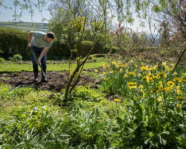 Alternative text should describe the visual content of the image.