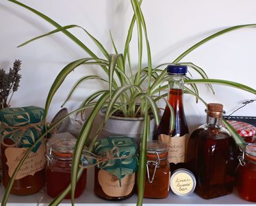 Jams and oils on shef surrounded by plants