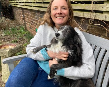 Alternative text should describe the visual content of the image.