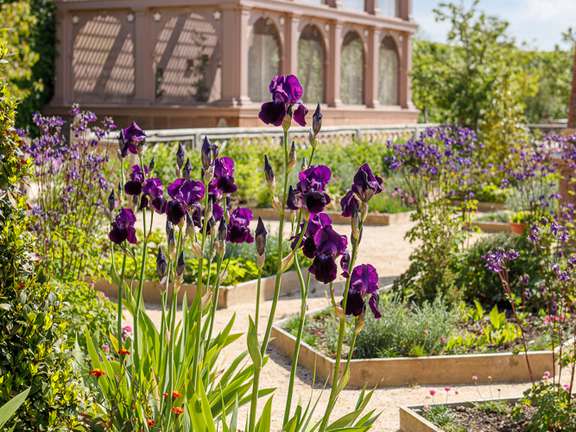 Alternative text should describe the visual content of the image.