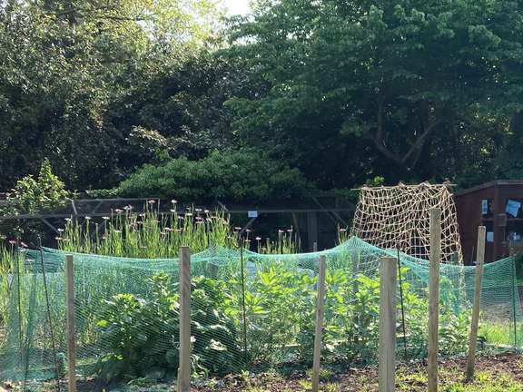 Alternative text should describe the visual content of the image.