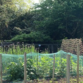 Alternative text should describe the visual content of the image.