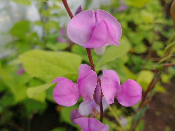 Alternative text should describe the visual content of the image.