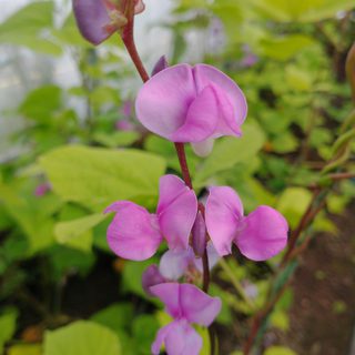 Alternative text should describe the visual content of the image.