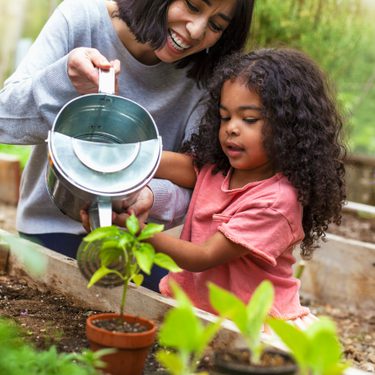 Alternative text should describe the visual content of the image.