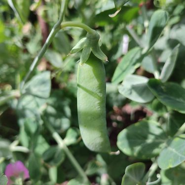 Alternative text should describe the visual content of the image.