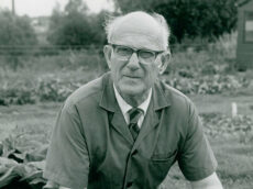 Lawrence Hills with Comfrey Bocking 14