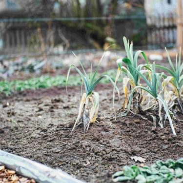 Alternative text should describe the visual content of the image.