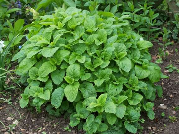 Alternative text should describe the visual content of the image.