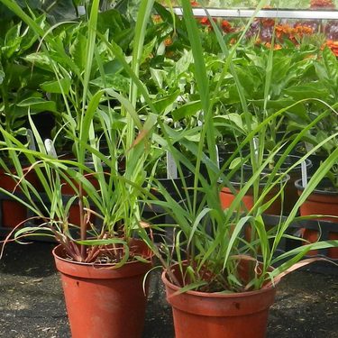 Alternative text should describe the visual content of the image.