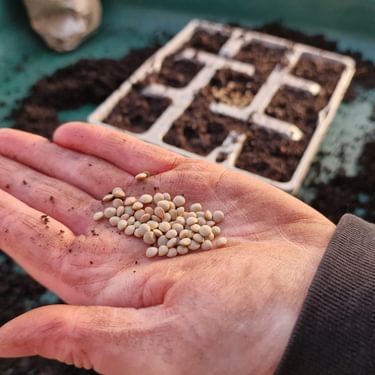 Alternative text should describe the visual content of the image.