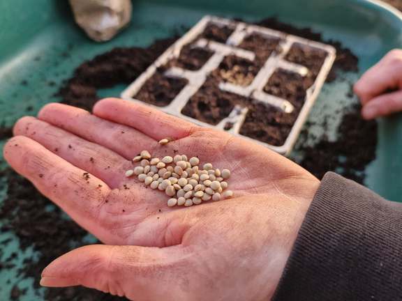 Alternative text should describe the visual content of the image.