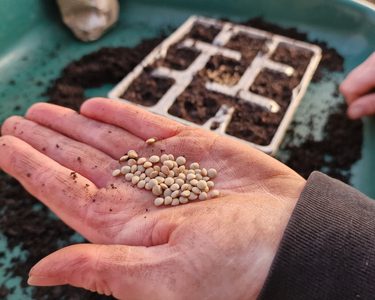 Alternative text should describe the visual content of the image.