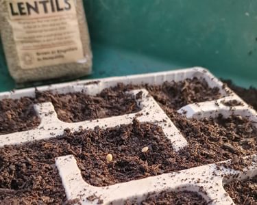 Alternative text should describe the visual content of the image.