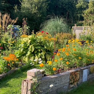 Alternative text should describe the visual content of the image.