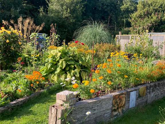 Alternative text should describe the visual content of the image.