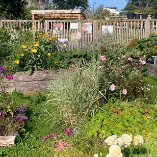 Alternative text should describe the visual content of the image.