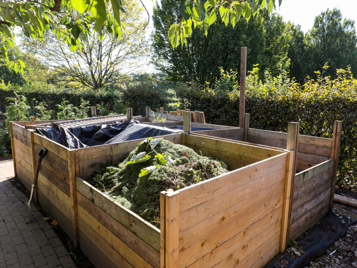 Compost heap
