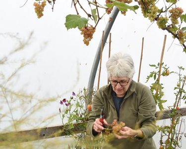 Alternative text should describe the visual content of the image.