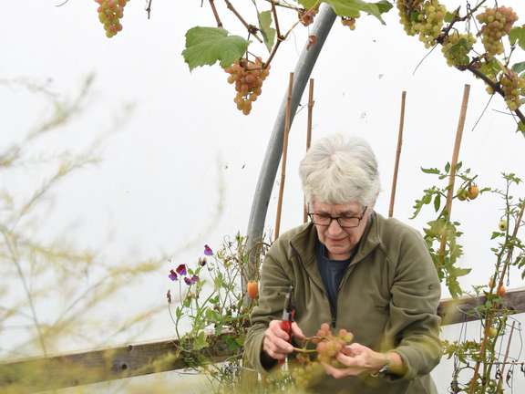 Alternative text should describe the visual content of the image.