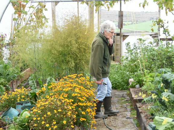 Alternative text should describe the visual content of the image.