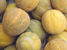 Pile of melons, variety Green Nutmeg