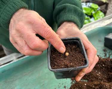 Alternative text should describe the visual content of the image.