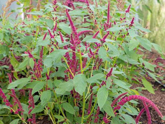 Alternative text should describe the visual content of the image.