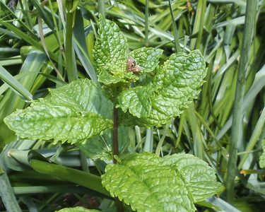 Alternative text should describe the visual content of the image.