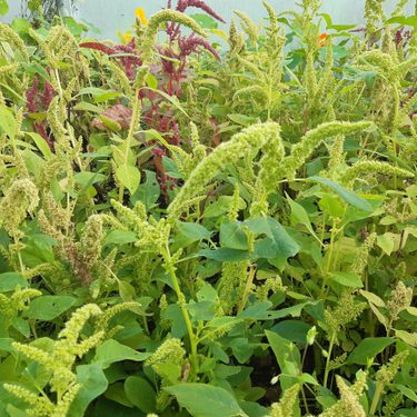 Alternative text should describe the visual content of the image.