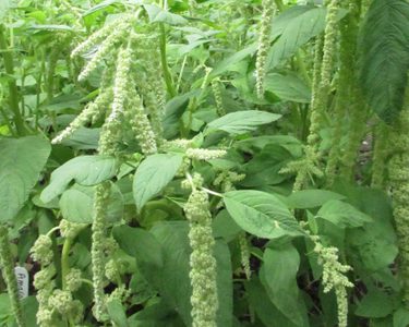 Alternative text should describe the visual content of the image.