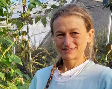 Alternative text should describe the visual content of the image.