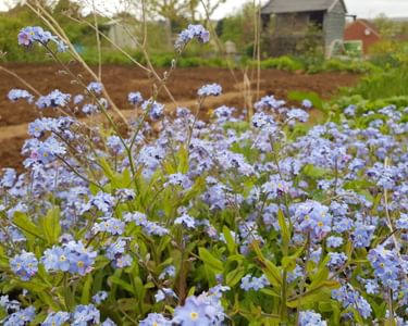 Alternative text should describe the visual content of the image.