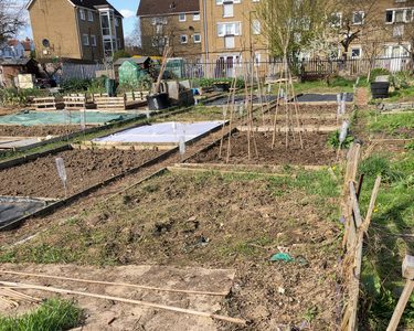 Alternative text should describe the visual content of the image.