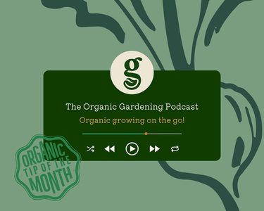 Alternative text should describe the visual content of the image.