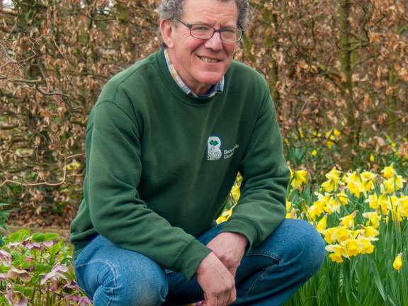 Alternative text should describe the visual content of the image.