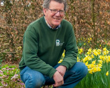 Alternative text should describe the visual content of the image.