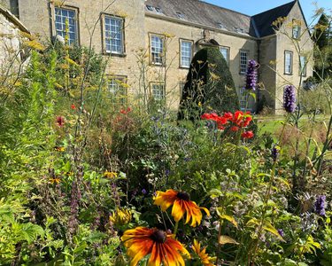 Alternative text should describe the visual content of the image.