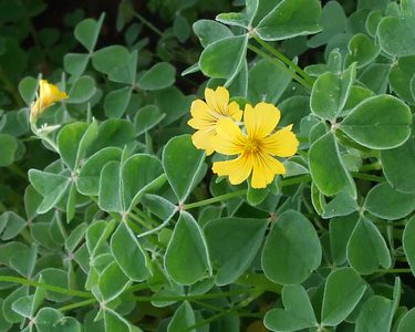 Alternative text should describe the visual content of the image.