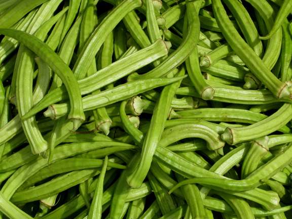 Alternative text should describe the visual content of the image.