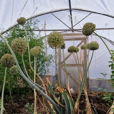 Alternative text should describe the visual content of the image.