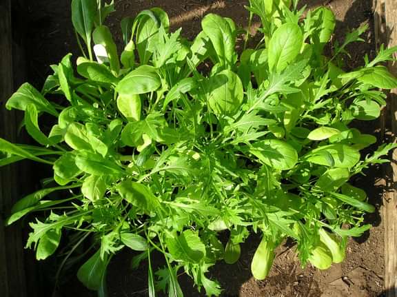 Alternative text should describe the visual content of the image.