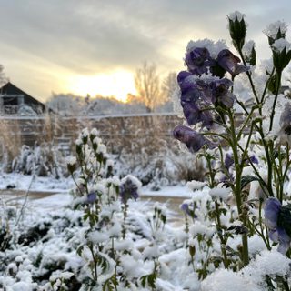 Alternative text should describe the visual content of the image.