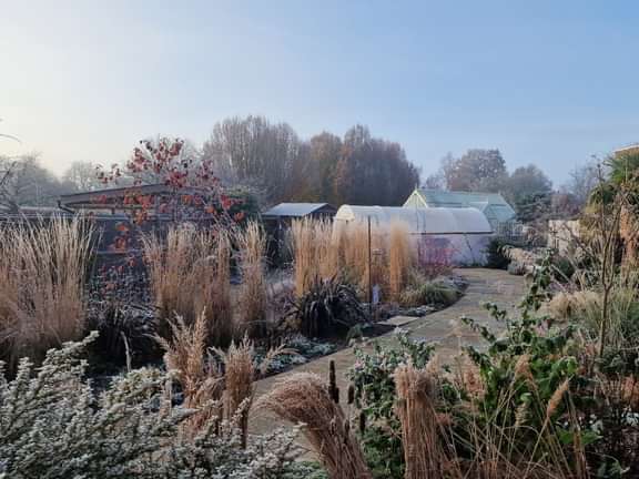 Alternative text should describe the visual content of the image.