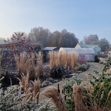 Alternative text should describe the visual content of the image.