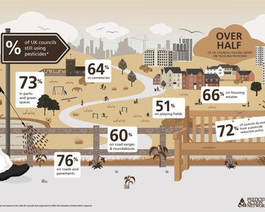 Alternative text should describe the visual content of the image.