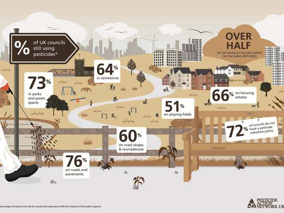 Alternative text should describe the visual content of the image.